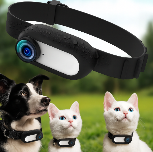 HD 1080P Pet Collar Camera | Lightweight Action Camera for Dogs & Cats