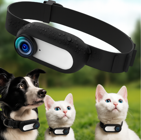HD 1080P Pet Collar Camera | Lightweight Action Camera for Dogs & Cats